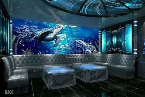 黄石小时场ktv享受高端小时场ktv体验-阳新县ktv预定